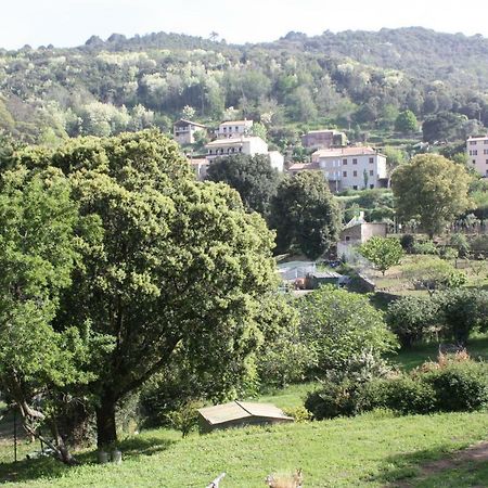 皮亚纳A Cardiccia Loc Saisonnieres Piana公寓 外观 照片