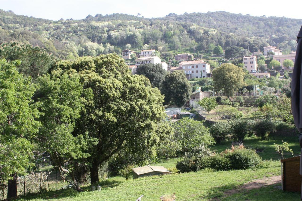 皮亚纳A Cardiccia Loc Saisonnieres Piana公寓 外观 照片